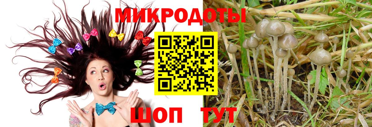 Псилоцибиновые грибы Magic Shrooms  Вход с VPN  Калач-на-Дону 